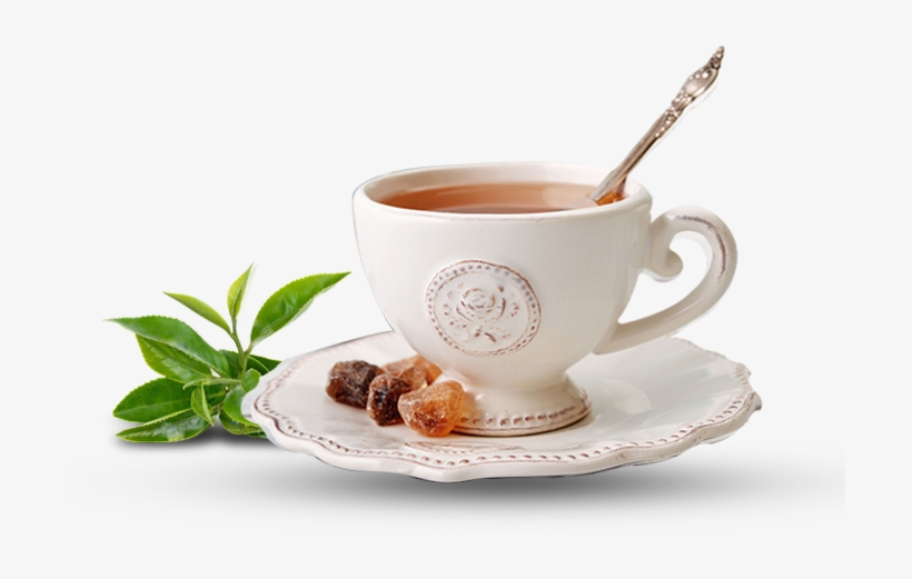 Teacompany Read The Article Clipart Library - Tea Cup Pic Png, transparent png download