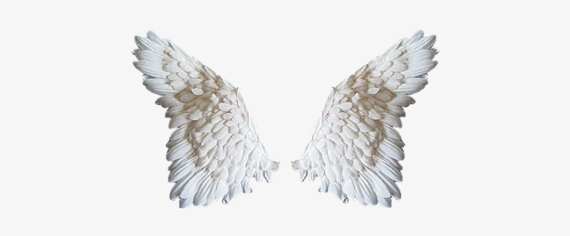 Jak Wyglda Niebo - Angel Wings Png File, transparent png download