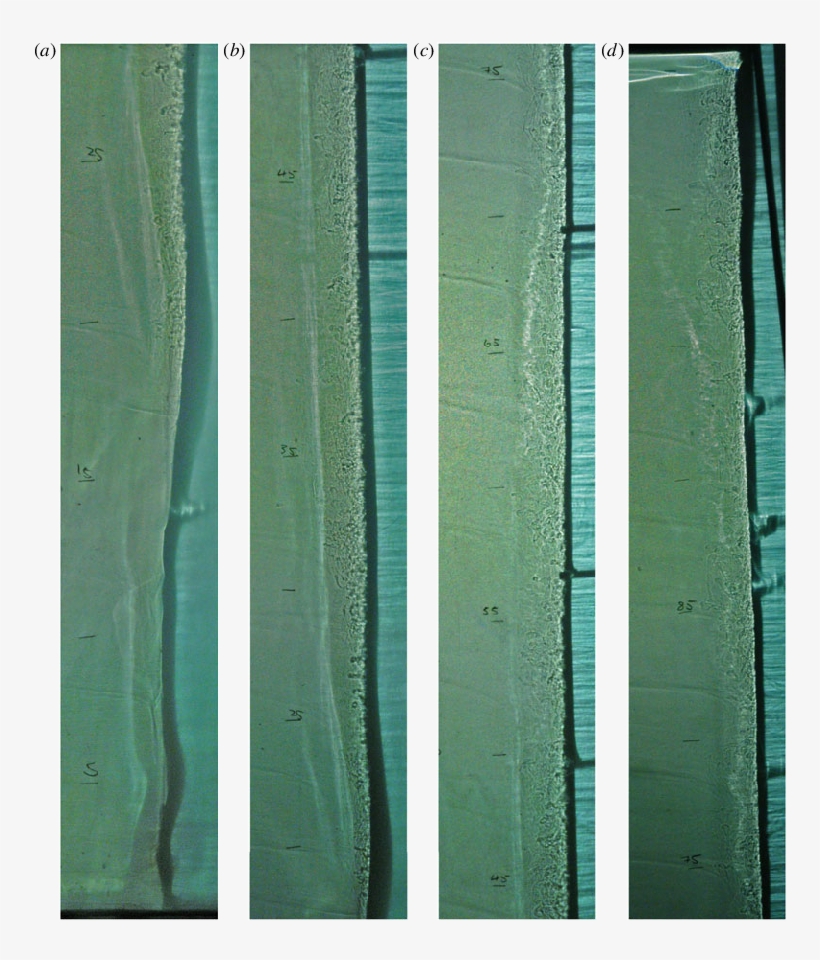 A Series Of Shadowgraph Images Showing The Ice On The - Wood, transparent png download