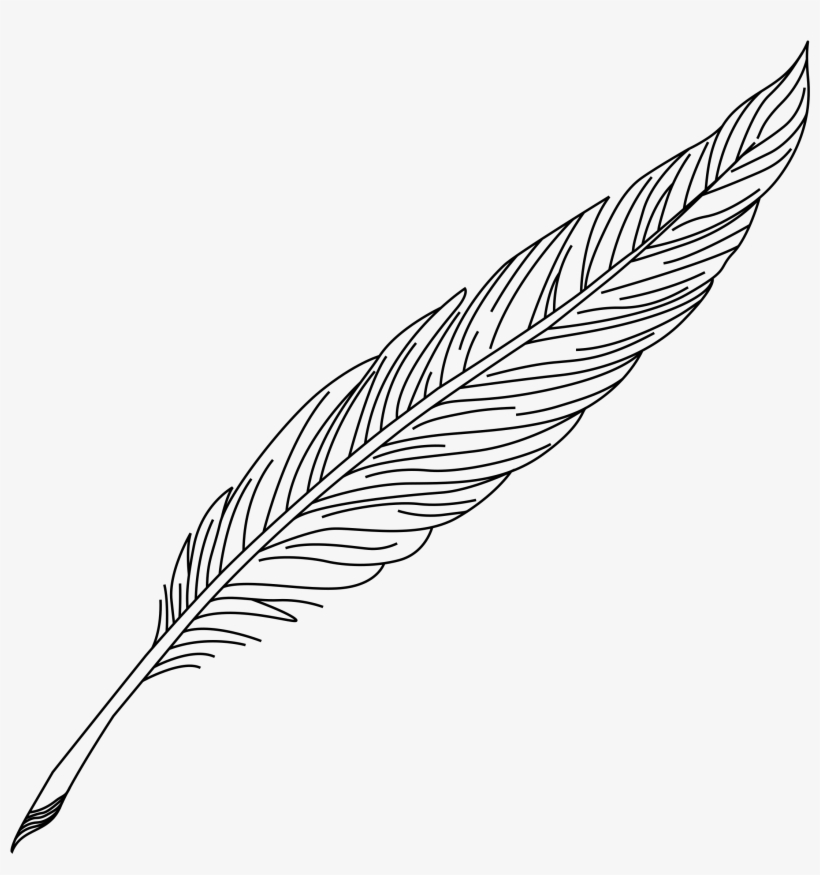 Quill Pen Drawing At Getdrawings - Feder Clipart, transparent png download