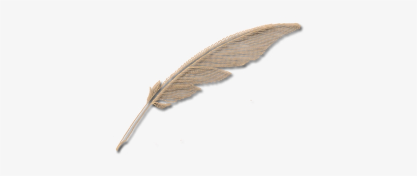Image Gallery For - Feather, transparent png download