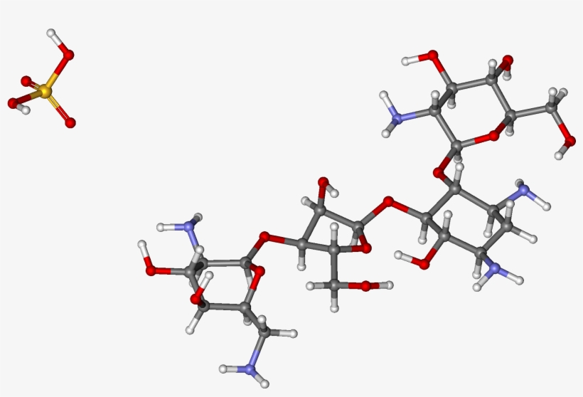 Paromomycin Ball And Stick - Diagram, transparent png download