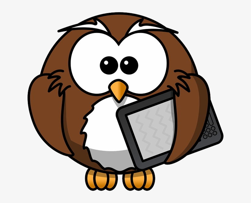 Owl, Animal, Bird, Book, E-book, Funny, Kindle - Cartoon Owl Shower Curtain, transparent png download