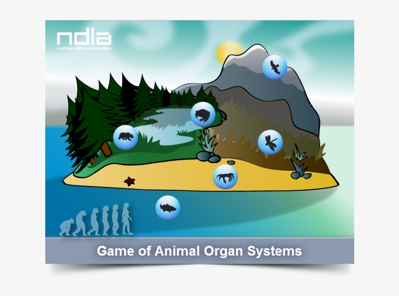 Boardgame - Cartoon, transparent png download