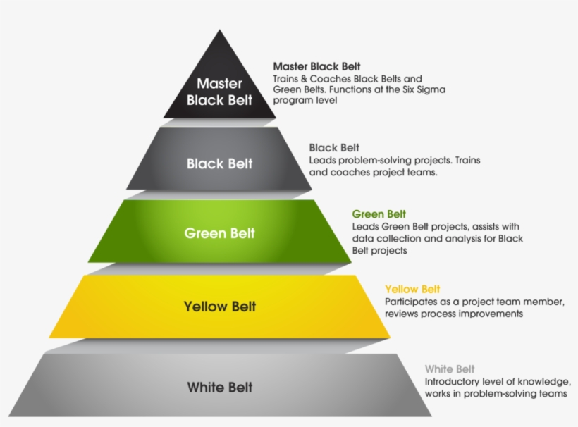 Six Sigma Belt Levels, transparent png download