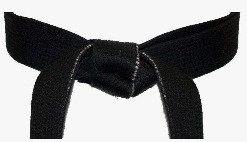 Karate Questions And Answers - Blood, Sweat & Taekwondo: The Gold Medal Training, transparent png download