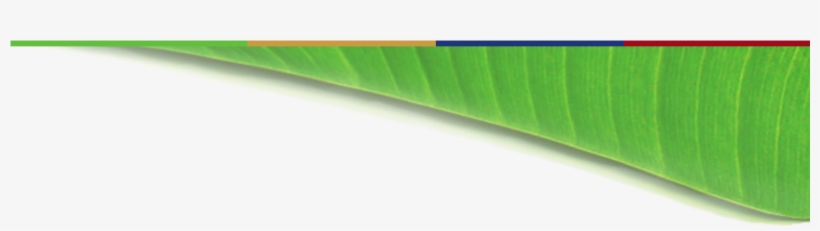 ิ Banana Leaf Bg, transparent png download