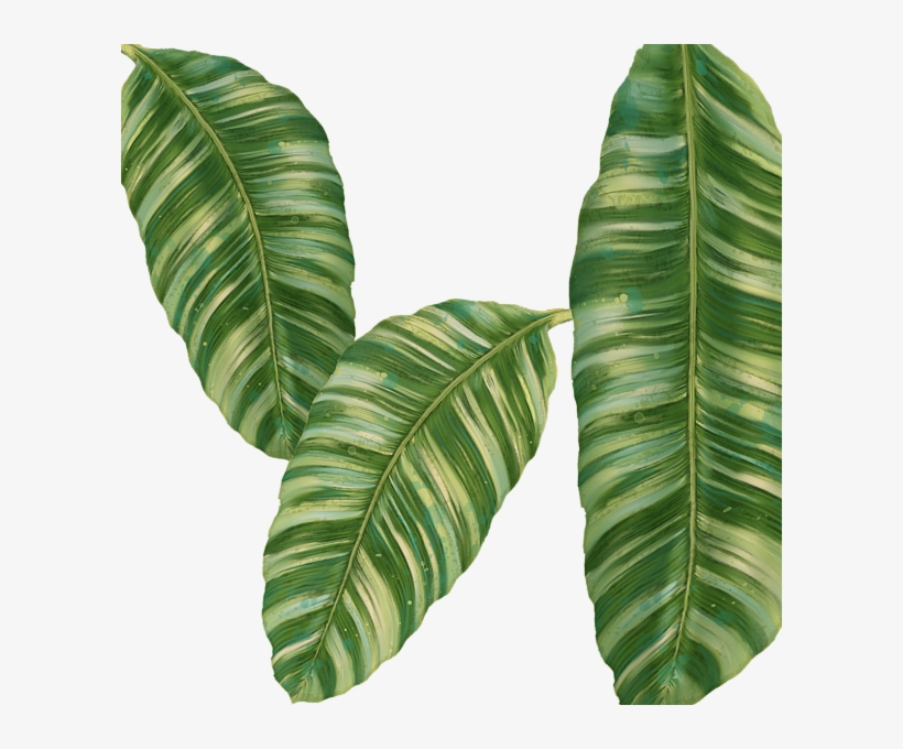 Click And Drag To Re-position The Image, If Desired - Rainforest Resort - Tropical Banana Leaf, transparent png download