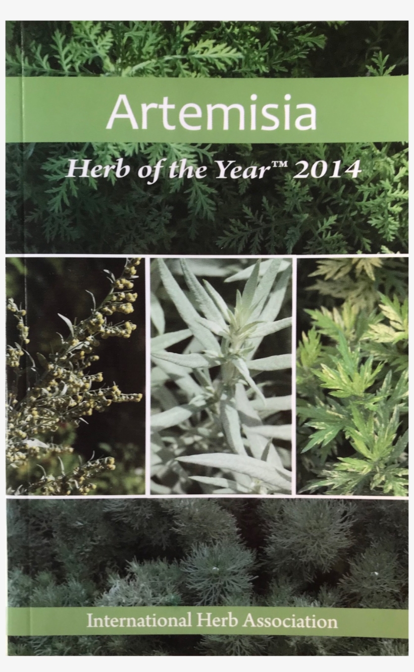 Herb Of The Year™ - Plantation, transparent png download