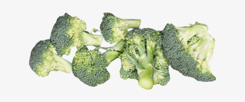 8 - Broccoli, transparent png download