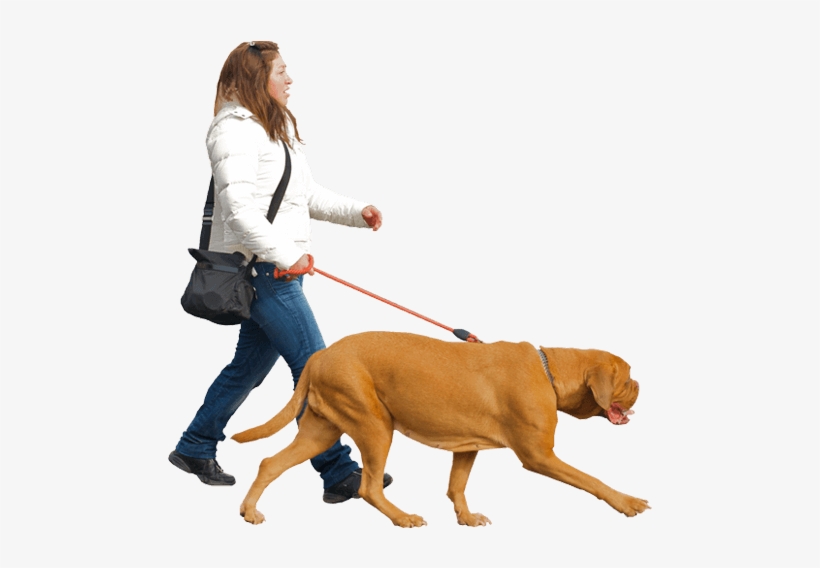 People-3 - People Walking With Dog Png, transparent png download