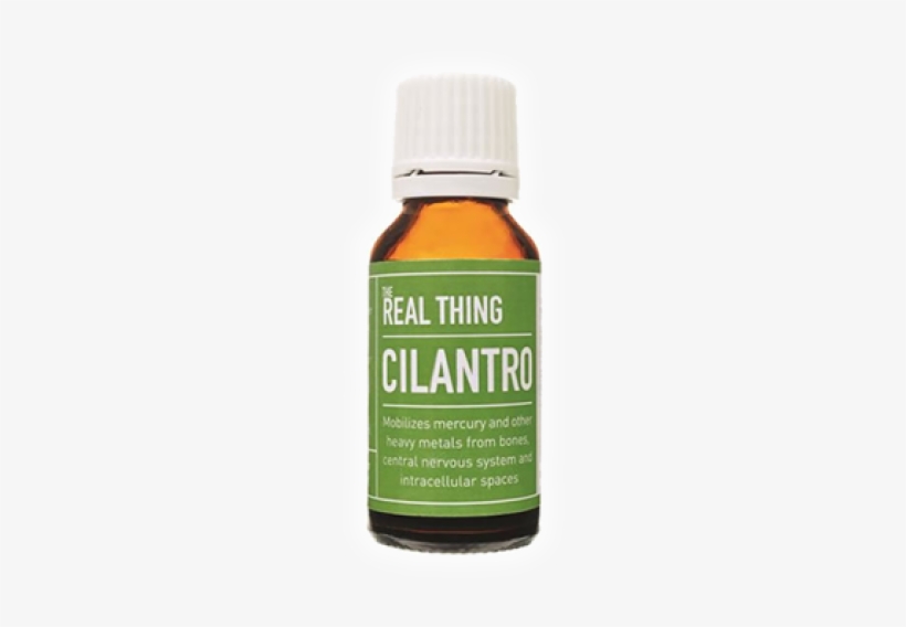 Real Thing Cilantro, transparent png download