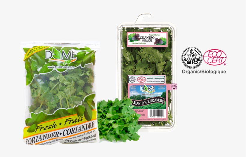 Spinach, transparent png download