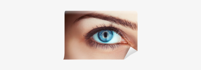 Close Up Photo Of Woman's Blue Eye Wall Mural • Pixers® - เขม่น ตา, transparent png download
