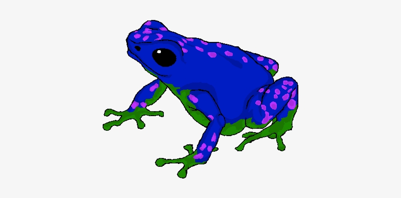 Poison Dart Frog Transparent Images Png - Poison Dart Frog Png, transparent png download