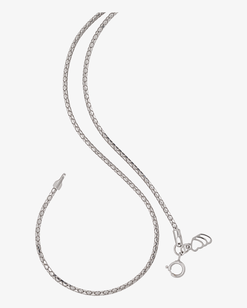 Orra Gold Chain - Body Jewelry, transparent png download