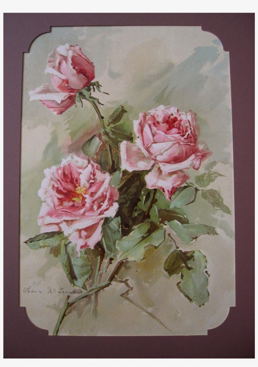 C1897 Pink La France Roses Print Teana Mc Lennan Hinman - Art, transparent png download