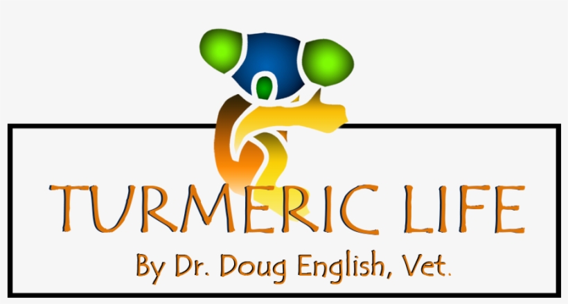 Graphic Design, transparent png download