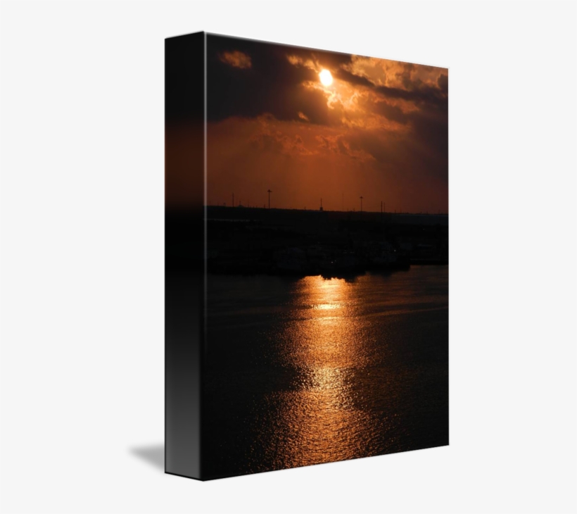 Sunrise In Florida By Chris Black Clip Art Transparent - Drawing, transparent png download