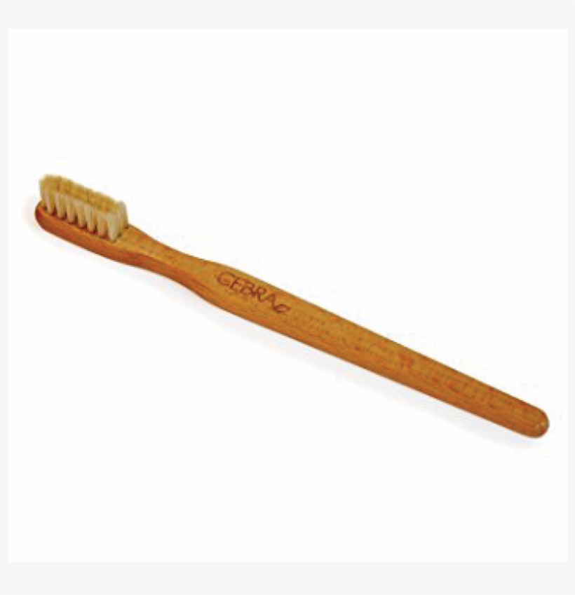 Cebra Wooden Toothbrush With Natural Bristles - Toothbrush Made Of Wood, transparent png download