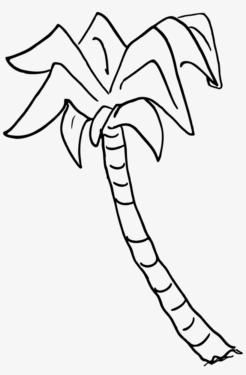 Clipart - Drawing Of Palm Tree In Png, transparent png download