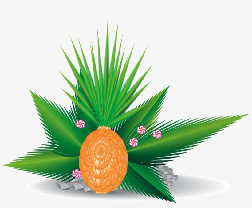 Leaf Palm Trees Drawing Plants - Folhas Da Planta Palmeira, transparent png download
