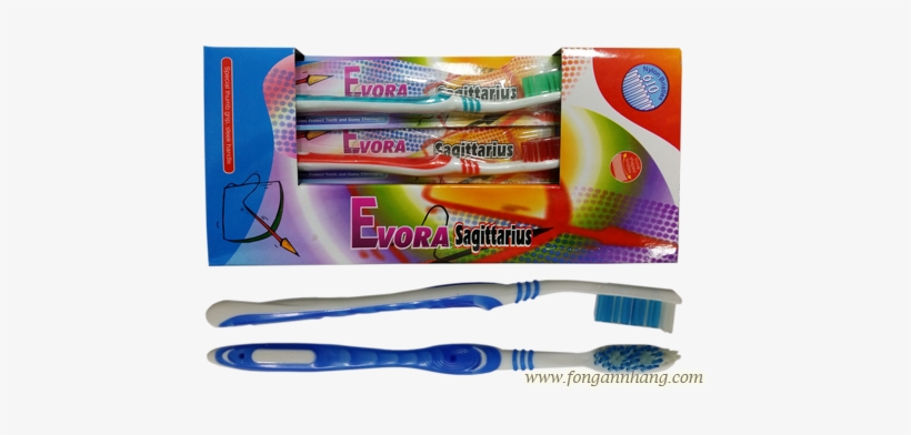 Evora Toothbrush - Municipality Of Évora, transparent png download