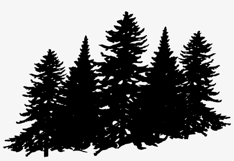 Yes - Christmas Tree, transparent png download