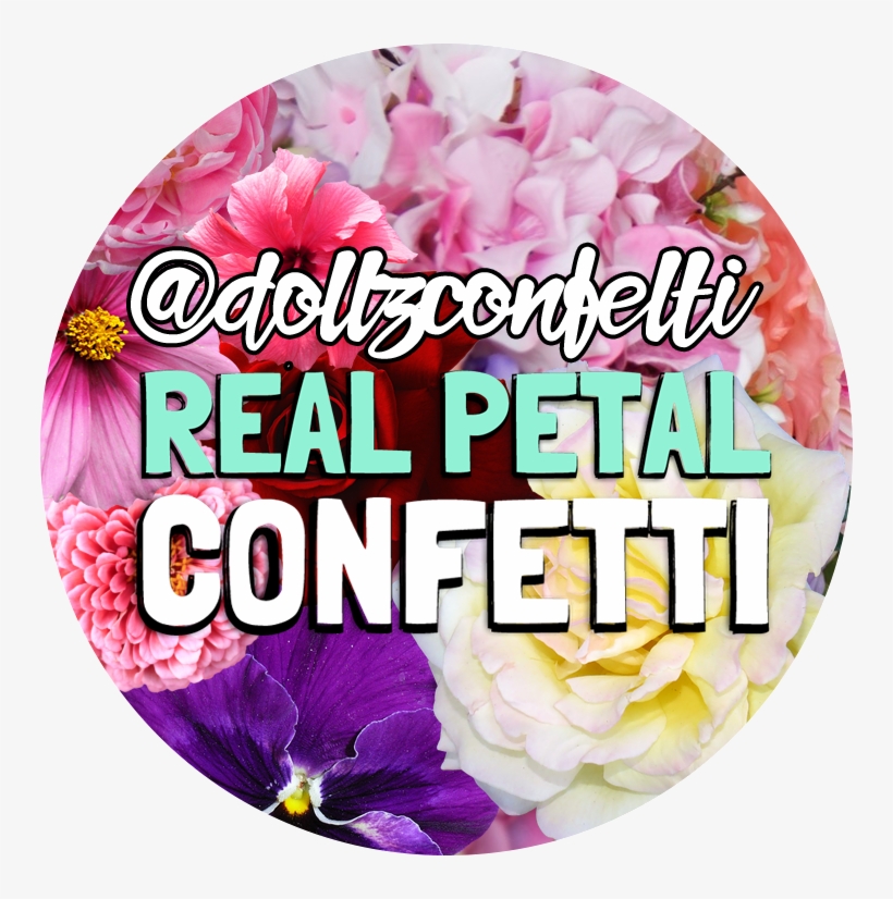 50 Bolsas De Boda Natural Real Pétalo Rosa Marfil Biodegradable - Moth Orchid, transparent png download