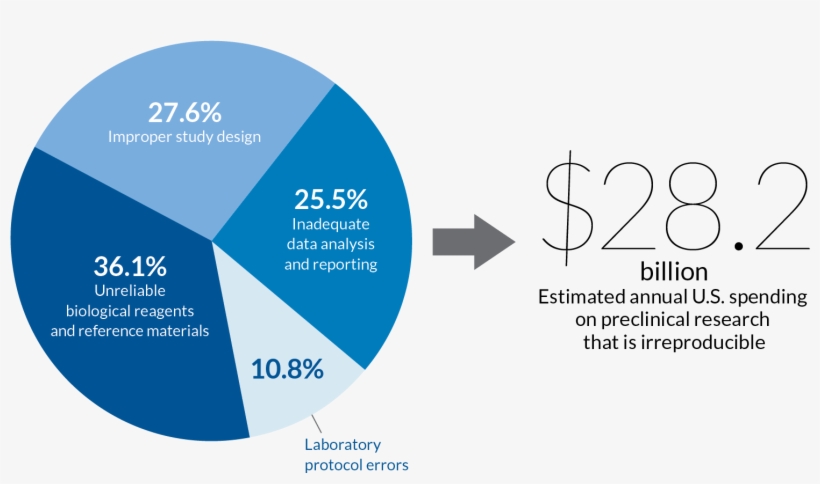 Flaws In Research - Diagram, transparent png download