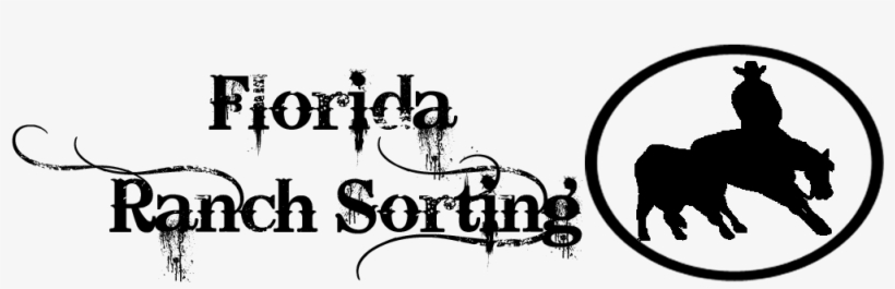 2018-2019 Jeys Saddle Series Standings - Name, transparent png download