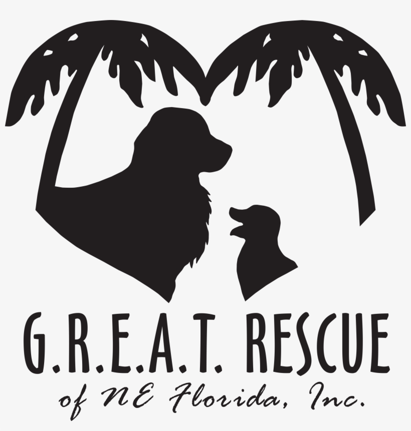 Great Rescue Make A Donation - Adventure Awaits, transparent png download