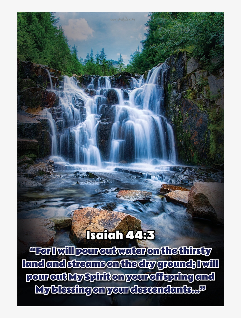 Isaiah 44 - 3 - Bv316 - Isaiah 44 3, transparent png download