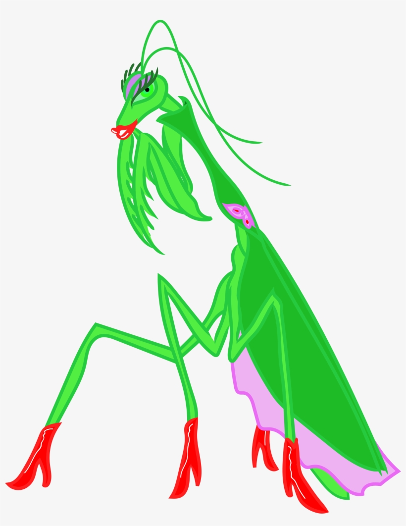Are You A Femme Fatale, Like This Praying Mantis Make - Illustration, transparent png download