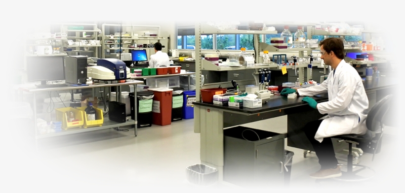 Careers - Laboratory, transparent png download