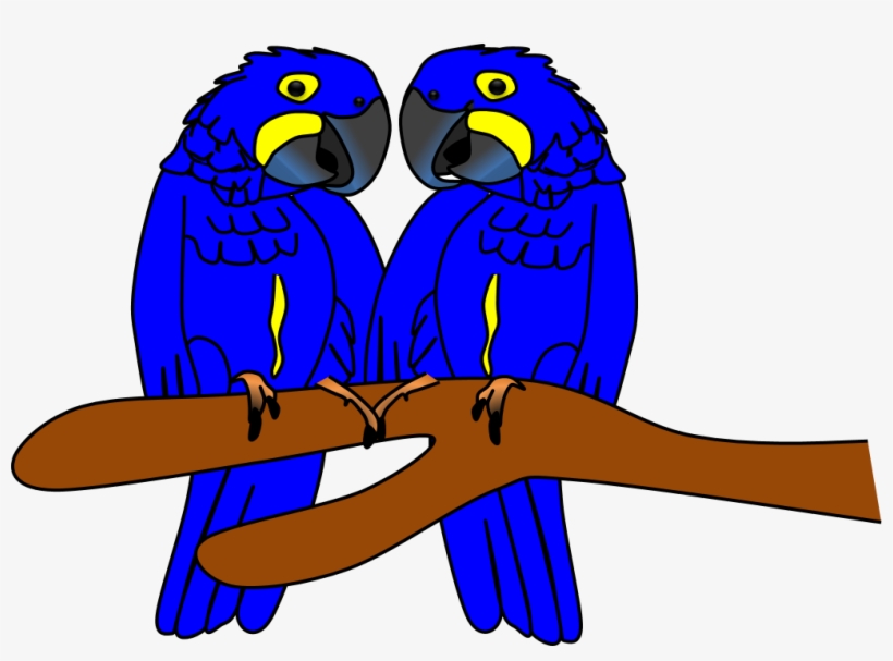 Parrot Clipart Zoo - Budgie, transparent png download
