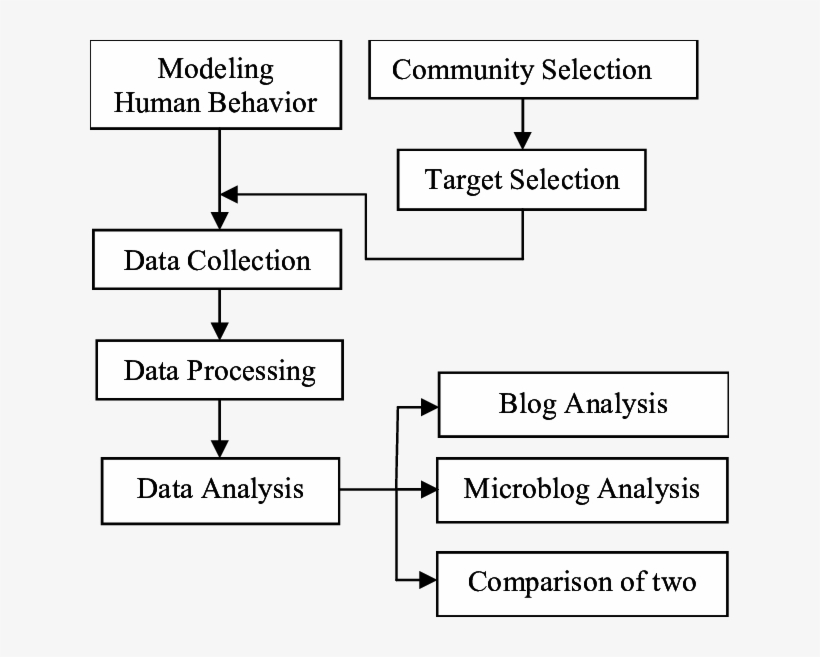 The Procudure Of Studying Human Behavior In This Paper - Community Health Systems, Inc., transparent png download