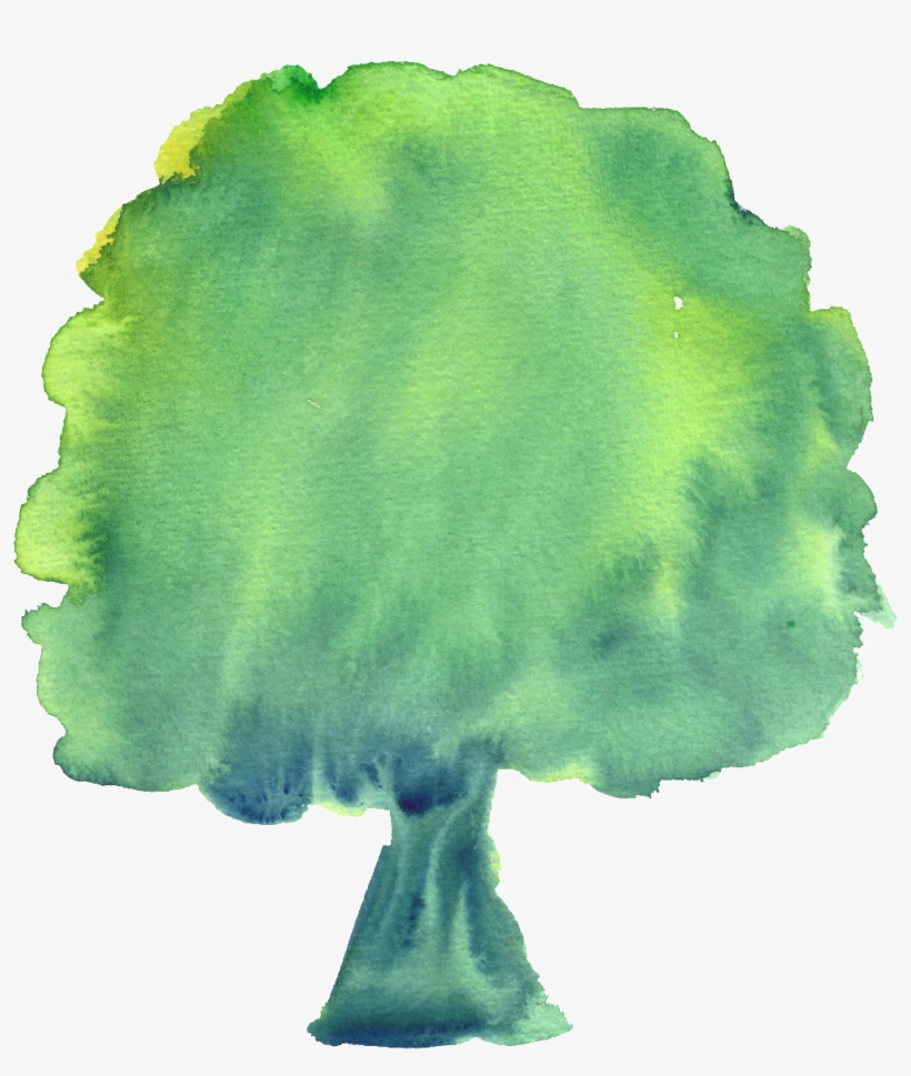 Hand Account Card Wow Small Tree Decoration Vector - Broccoli, transparent png download