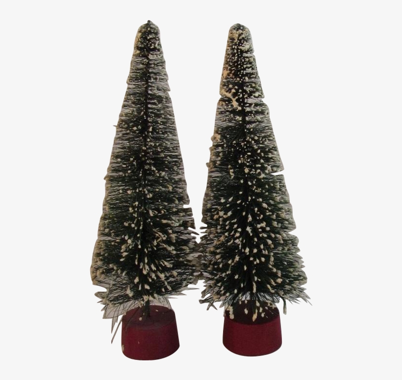 4421 1l Jpg - Christmas Tree, transparent png download