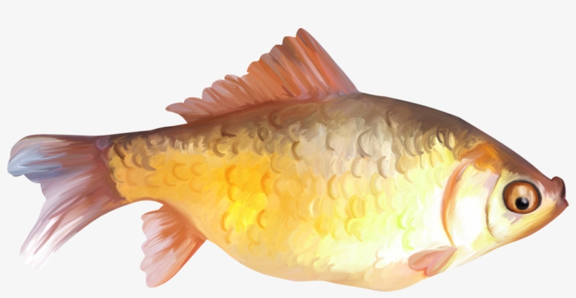 Painted Fish Clipart - Fish Png Paint, transparent png download