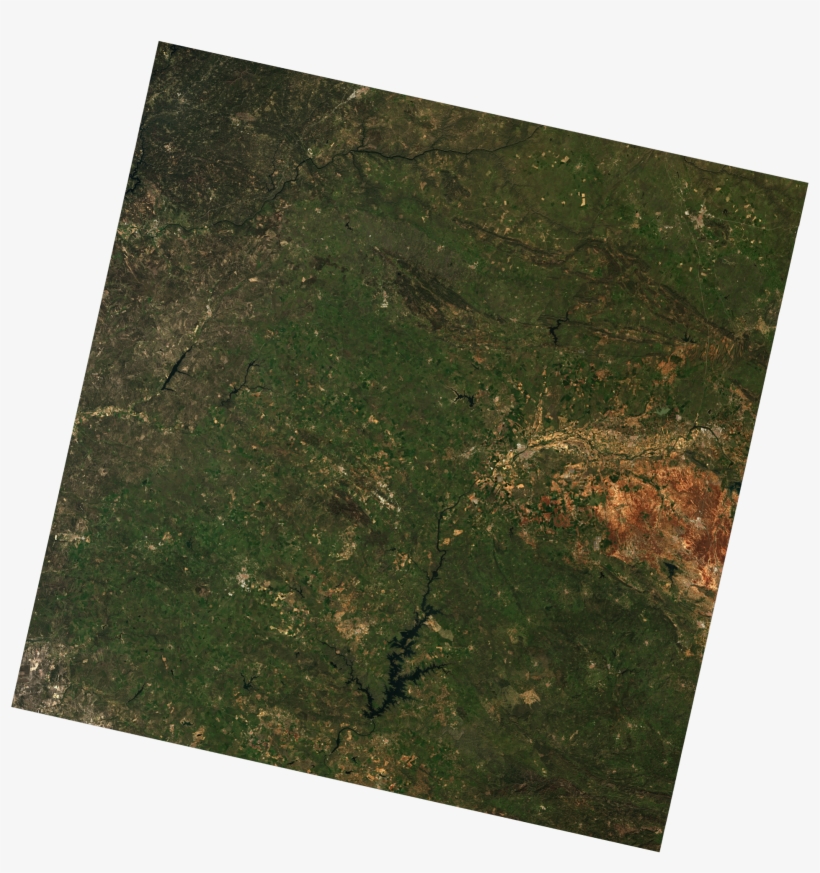 Boa Overview - Grass, transparent png download