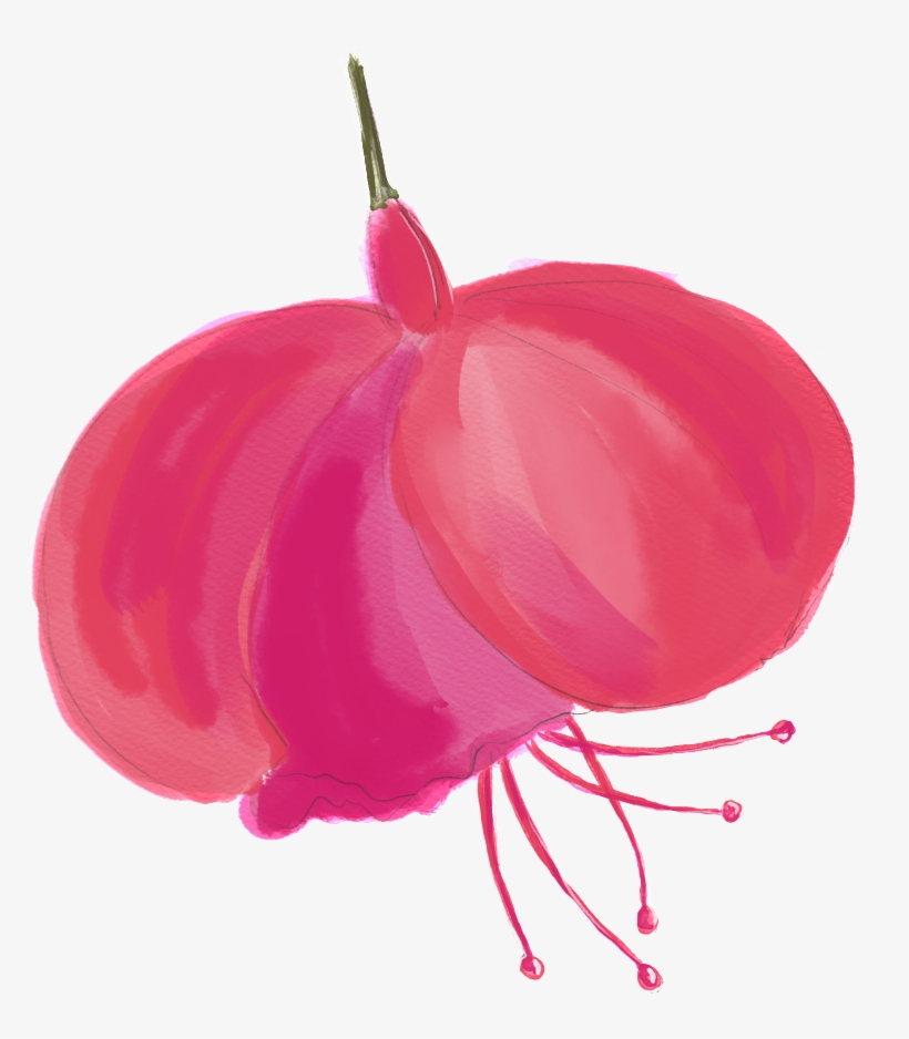 Lantern Petals Transparent Decorative - Illustration, transparent png download