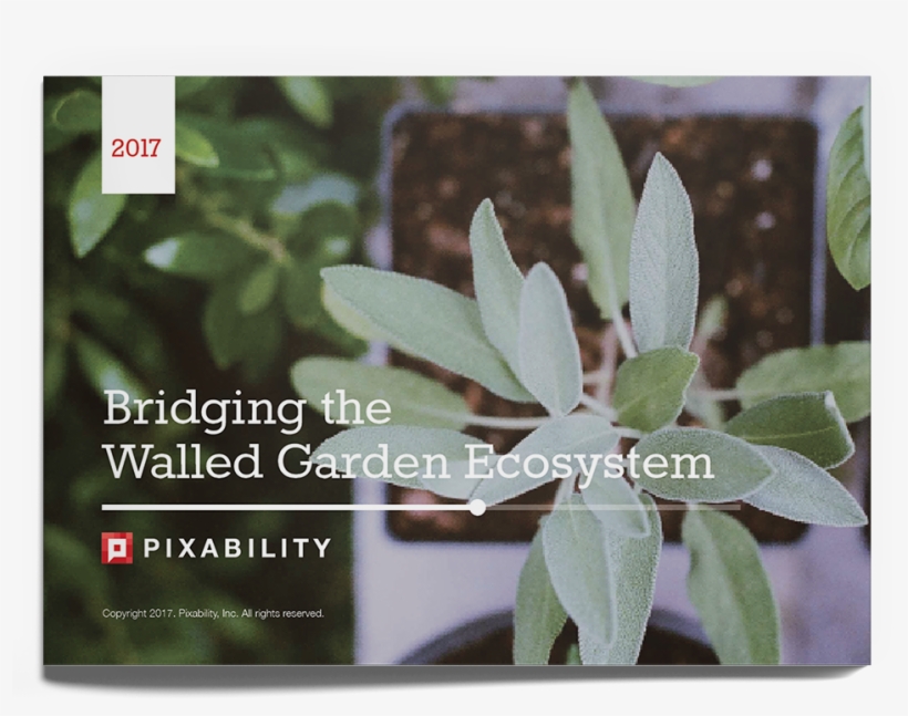 The Pace Of Change Is Dizzying, But Our Second Annual - Herb, transparent png download