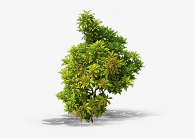 View In My Picture - Bushes Top View Png, transparent png download