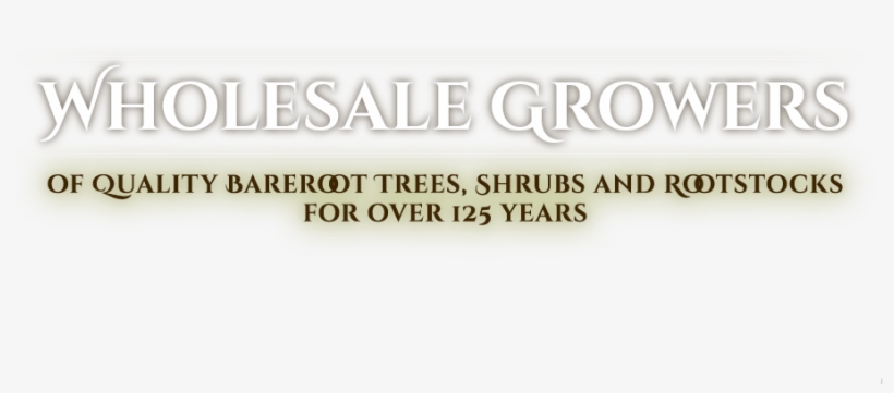 Our Process - Parallel, transparent png download