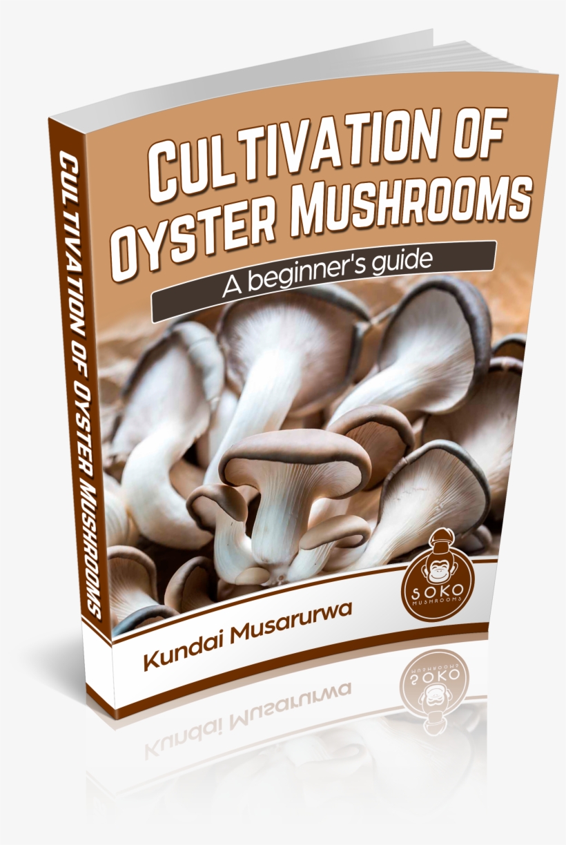 Oyster Mushrooms Manual Available - Flyer, transparent png download