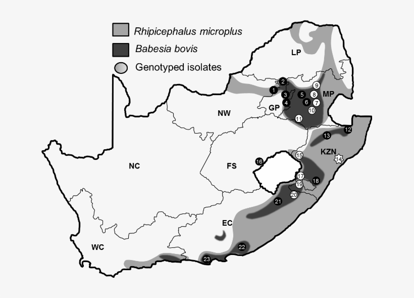 Epv-tickecology3 - Map, transparent png download