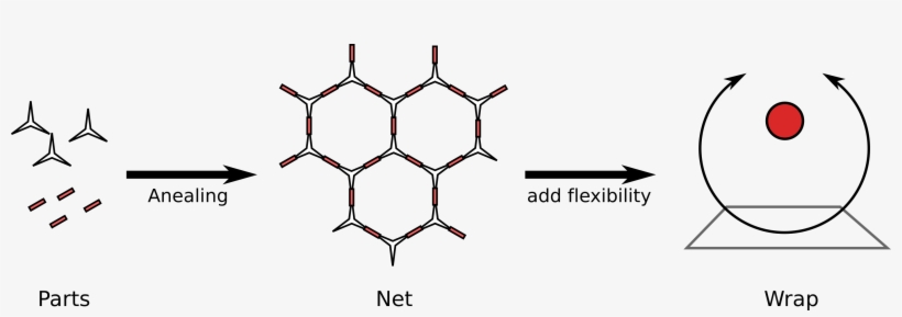 Abstract - Diagram PNG Image | Transparent PNG Free Download on SeekPNG