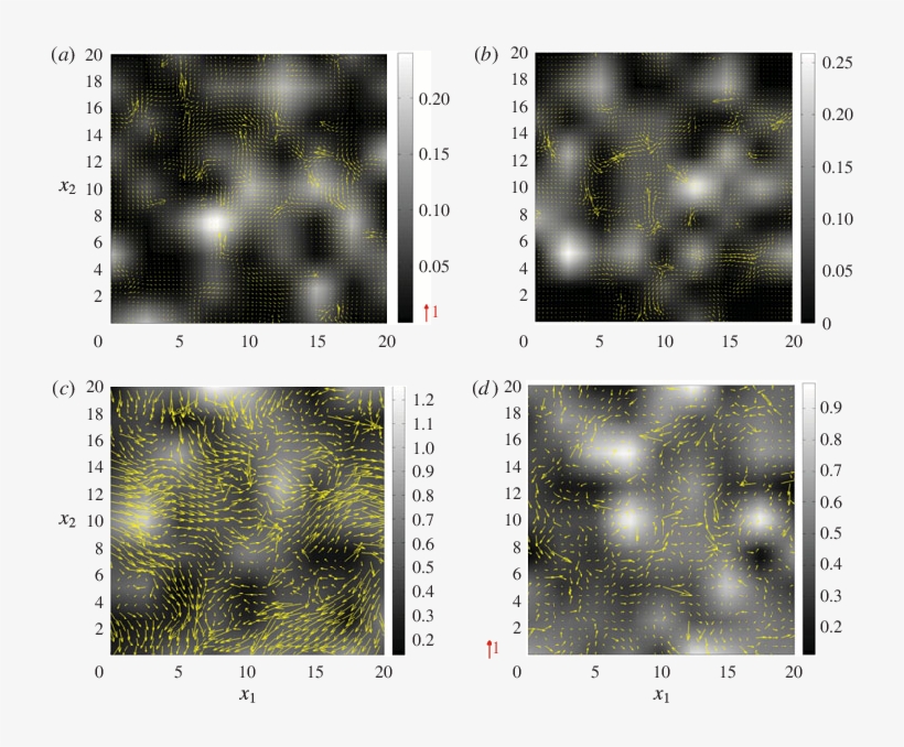 The X 1 X 2 Projections Of Fluid Velocity Vectors Lying - Graphics Software, transparent png download