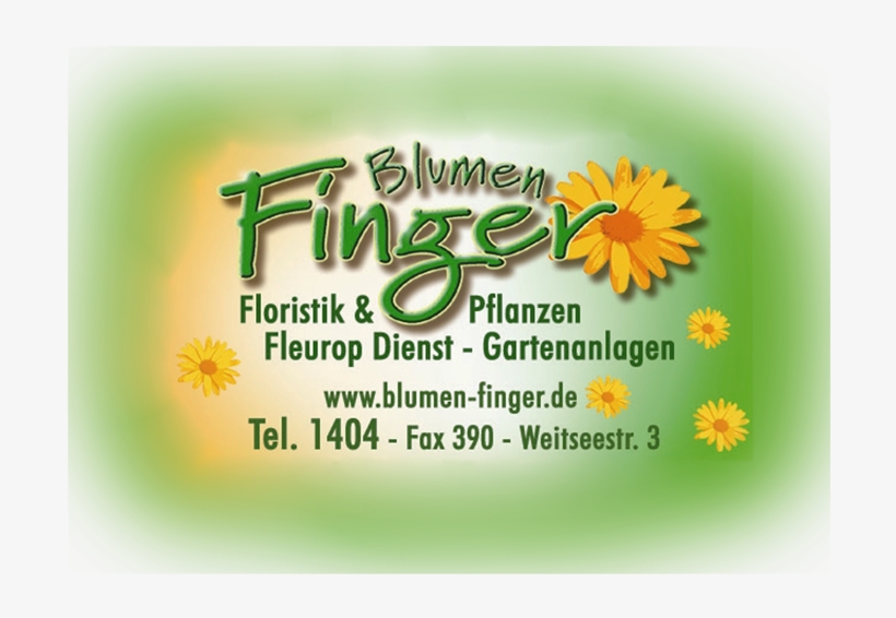 Acheter Adderall Xr - English Marigold, transparent png download